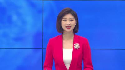 --胸怀大局献良策  心系民生建真言  政协委员分组讨论政府工作报告