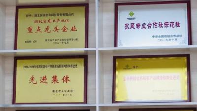 【奋斗的印记 | 2022年工作回顾】孝昌：人才“新风”劲吹澴川大地