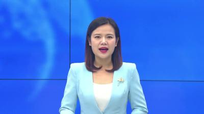 --翰墨飘香喜迎新年 文化助力乡村振兴