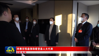 李惠芬等县领导看望县人大代表