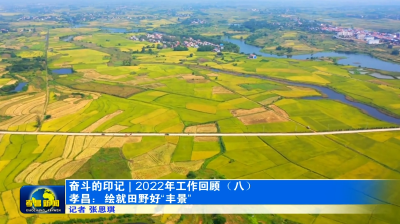 【奋斗的印记 | 2022年工作回顾（八）】孝昌：绘就田野好“丰景”