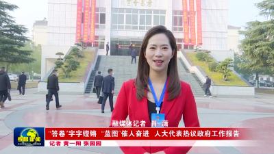 --“答卷”字字铿锵  “蓝图”催人奋进  人大代表热议政府工作报告