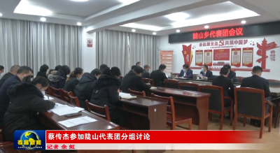 蔡传杰参加陡山代表团分组讨论
