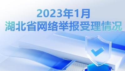 2023年1月湖北省网络举报受理情况