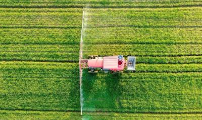 二月二，龙抬头