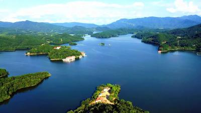 观音湖区：强旅游 兴产业 绘就观音湖区发展新蓝图