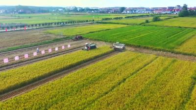 2023年2月27日《孝昌新闻》