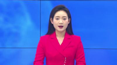 --以“绿”为进  迈向新能源产业高地---专访海南景能新能源科技有限公司董事长袁桥