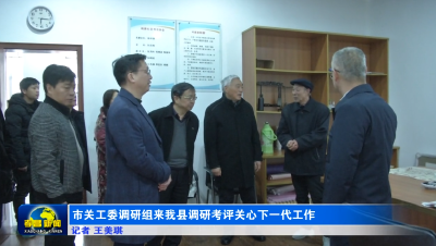 市关工委调研组来我县调研考评关心下一代工作