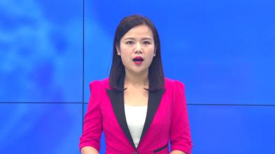 --玩龙灯 闹新春 武河村年味十足真热闹