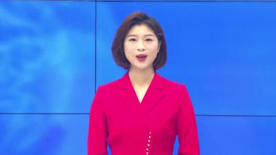 --我县举办油茶产业发展实用技术培训