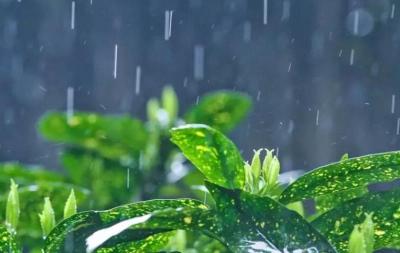 2月上旬天气如何？最新预测来了！