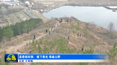 县委组织部：植下春光　绿遍山野