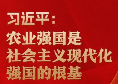 习近平：农业强国是社会主义现代化强国的根基