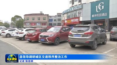县领导调研城区交通秩序整治工作