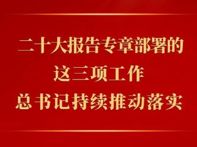 第一观察 | 二十大报告专章部署的这三项工作，总书记持续推动落实