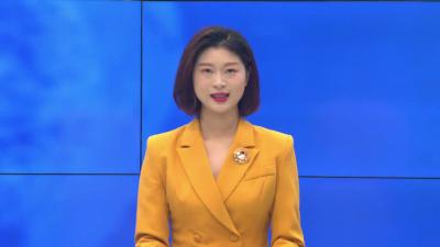 --安陆市党政代表团到我县考察交流