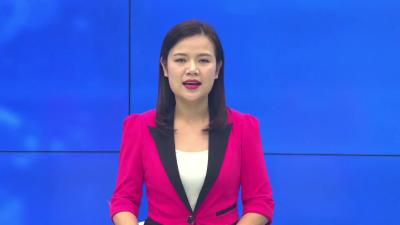 --省卫生健康委领导到孝昌调研