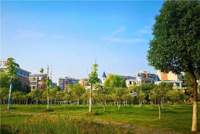 还绿地于民 孝昌开展春季绿地环境专项整治