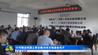 小河镇全域国土综合整治项目推进会召开