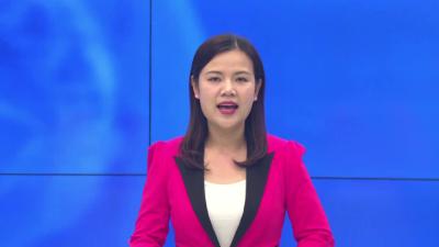 --孝昌：“叫响”双毫雨露   “小叶子”托起大产业