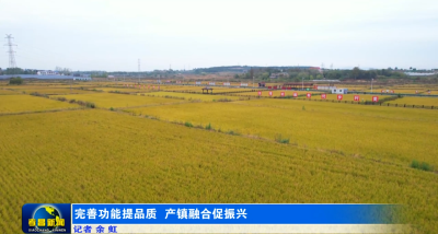 完善功能提品质 产镇融合促振兴