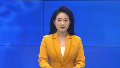 --县市场监管局、县检察院联合开展第23个世界知识产权日宣传活动