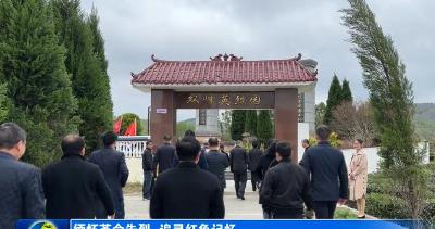 缅怀革命先烈  追寻红色记忆