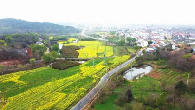 孝昌：“四好农村路”绘就乡村“幸福路”