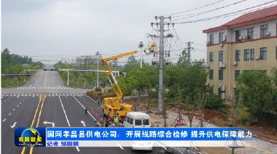 国网孝昌县供电公司：开展线路综合检修 提升供电保障能力 