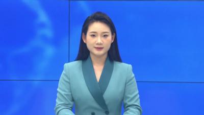 --孝昌：税惠春风暖千企  贴心服务添动能