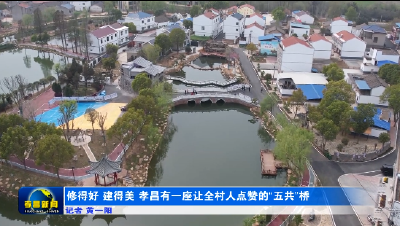 修得好 建得美 孝昌有一座让全村人点赞的“五共”桥