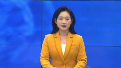 --白沙镇：春耕备耕开好局  孕育丰收正当时