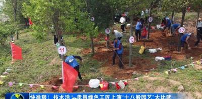 快准狠！技术活！孝昌绿色工匠上演“十八般园艺”大比武