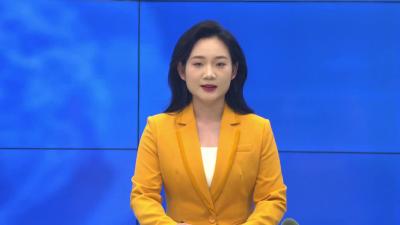 --樱桃成熟季 采摘好时节