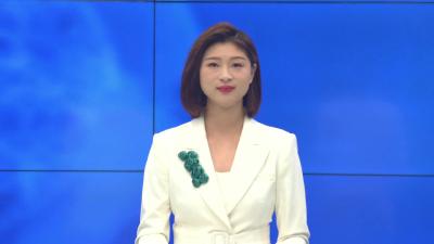 --县领导调研督办邹岗镇美丽乡村示范片和太子米产业园项目建设工作