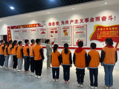 谈晚霞：当好“红领巾”引路人 让青春绽放美丽霞光
