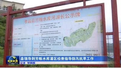 县领导到芳畈水库灌区检查指导防汛抗旱工作