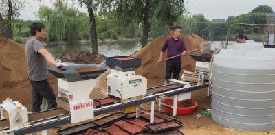 孝昌王店：水稻育秧全面铺开