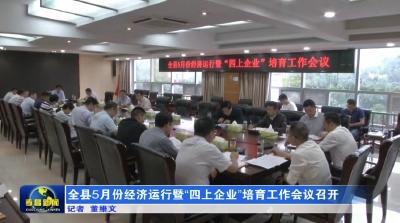 全县5月份经济运行暨“四上企业”培育工作会议召开