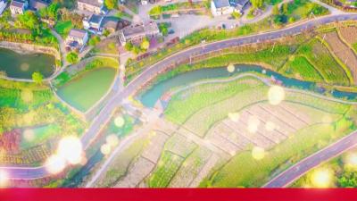 --我县组织收看市委理论学习中心组集体学习（扩大）报告会