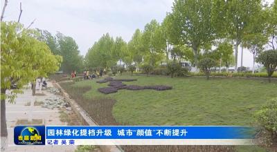 园林绿化提档升级 城市“颜值”不断提升