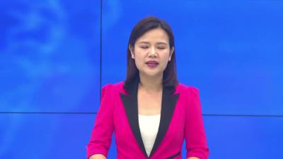 --陕西省湖北商会考察团到我县考察