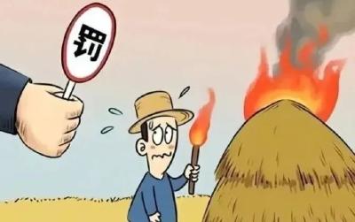 注意！露天焚烧秸秆违法，后果很严重！