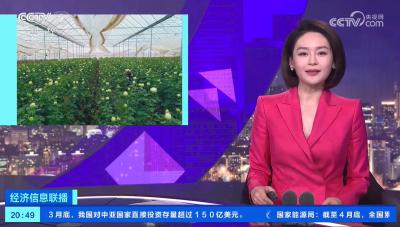 种业“芯片”研发加速 云南花卉品种持续“上新”