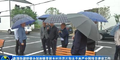 县领导调研督办邹岗镇美丽乡村示范片和太子米产业园项目建设工作 