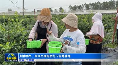 直播助农：网红主播组团打卡蓝莓基地
