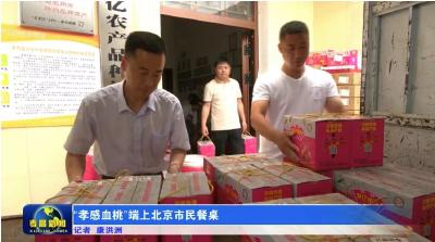 “孝昌血桃”端上北京市民餐桌