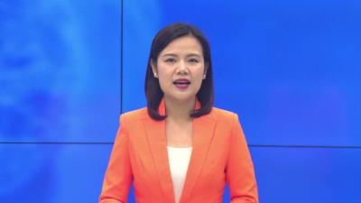 --孝昌：血桃迎来大面积成熟  一季赏花三季吃桃