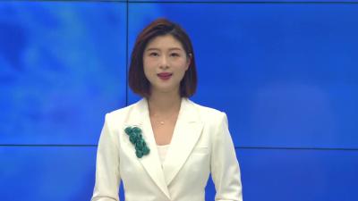 --市检查组到我县开展2023年春季植树造林拉练检查活动